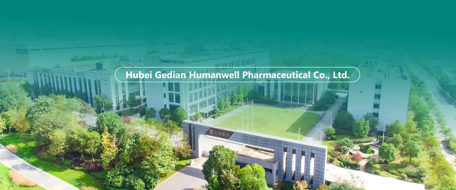 Çin API'leri, Ara Ürünler, Formülasyon Fabrikası